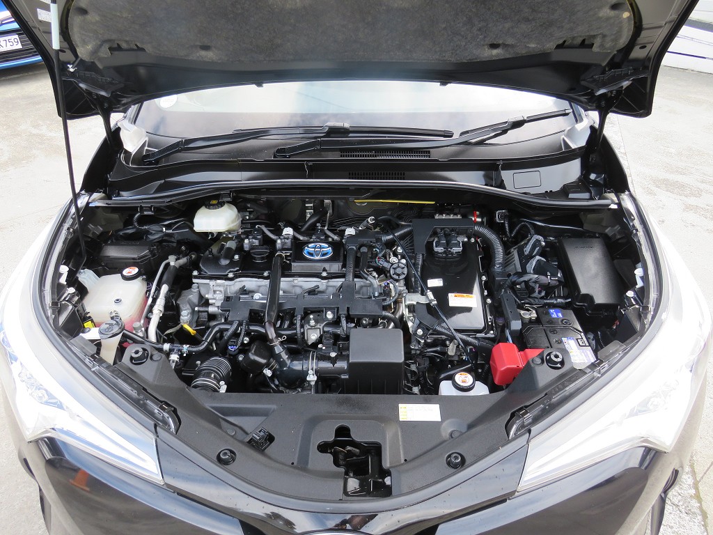 S1877720.jpg