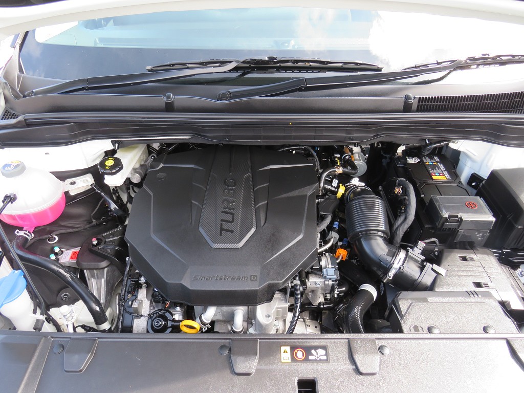 S7074520.jpg
