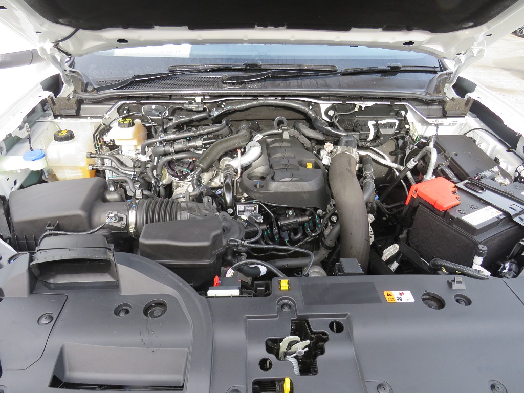 S7079321.jpg