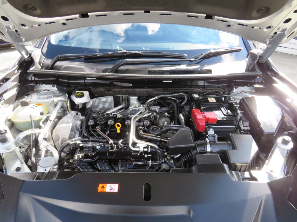S7084420.jpg