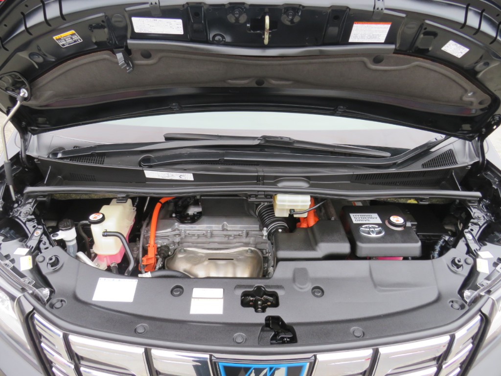 S8045520.jpg