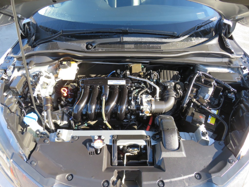 S8051920.jpg