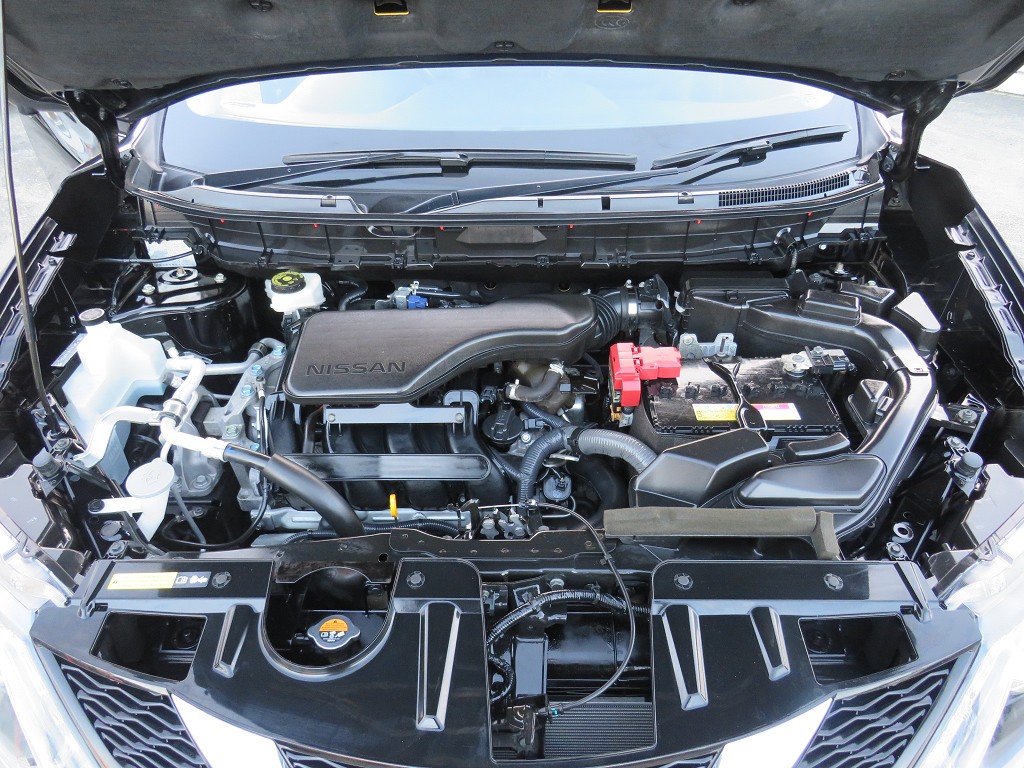 S8054520.jpg