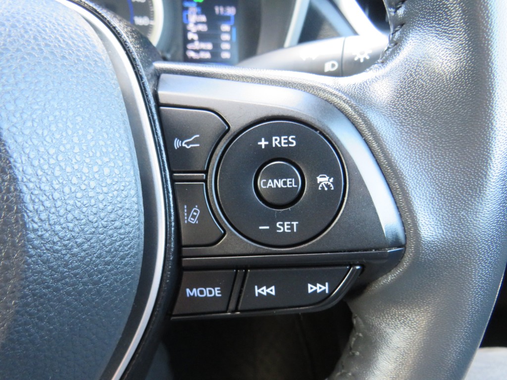 S8055516.jpg