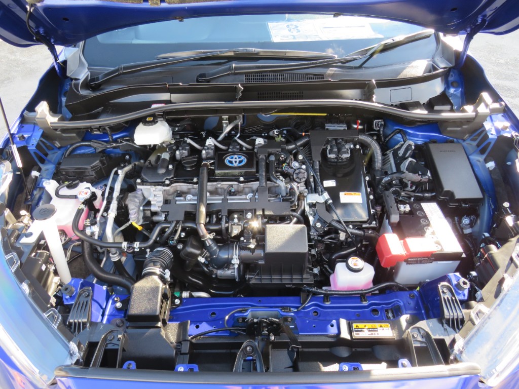 S8055521.jpg