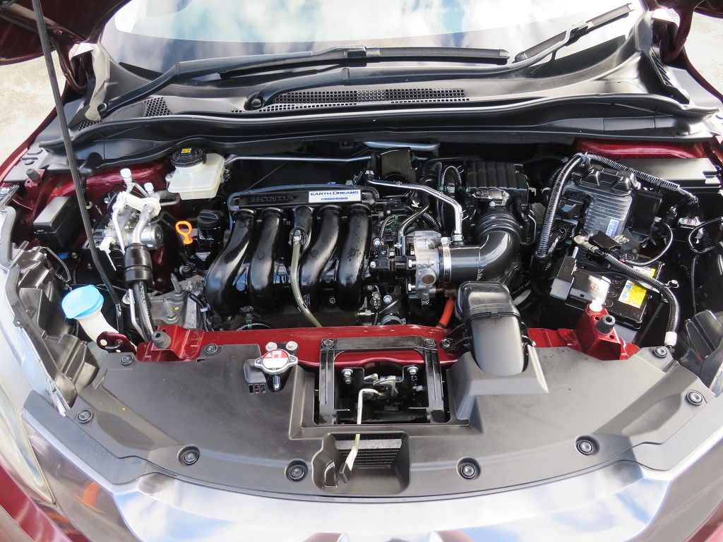 S8057819.jpg