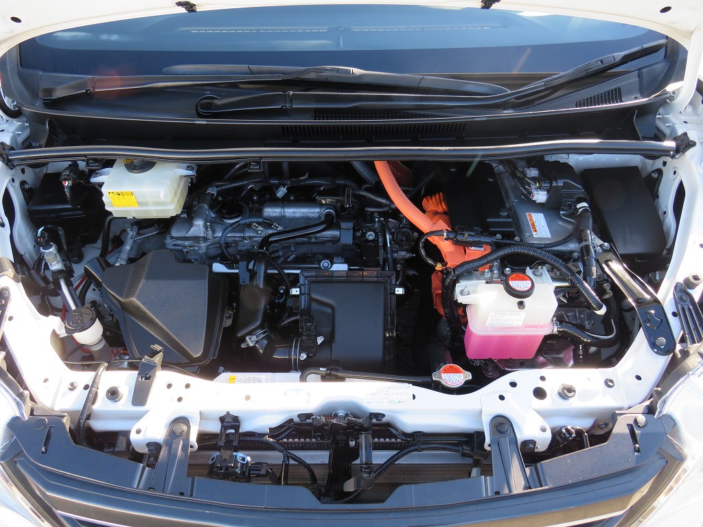 S8060921.jpg