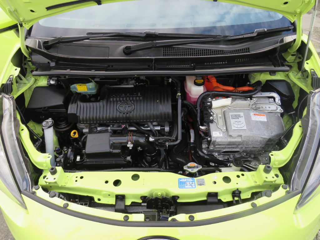 S8065419.jpg