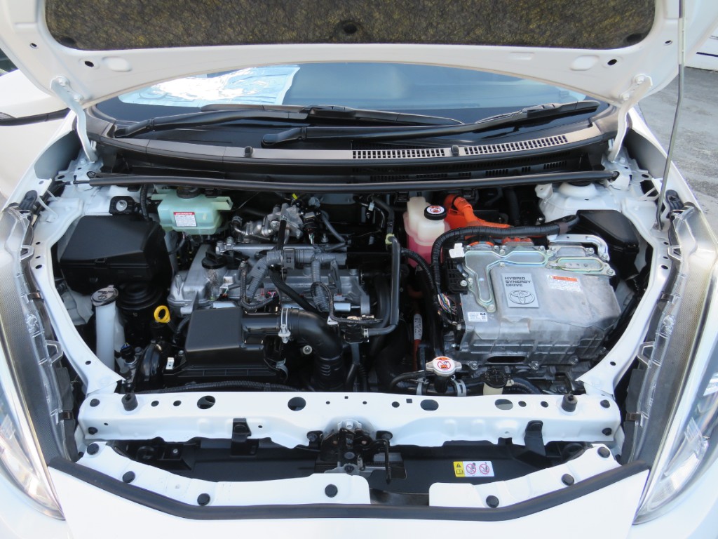 S8066321.jpg
