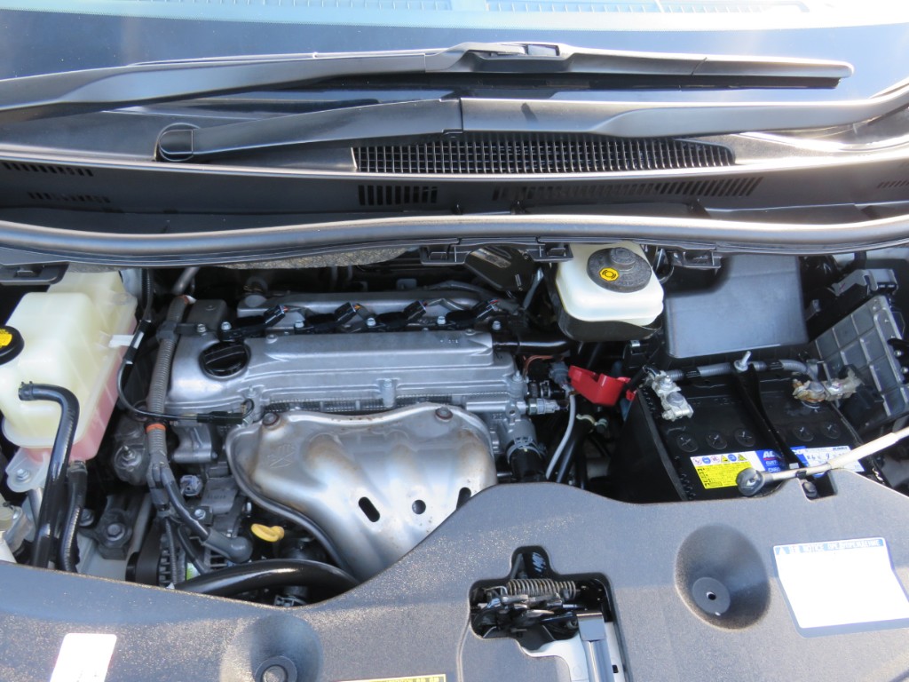 S8067018.jpg