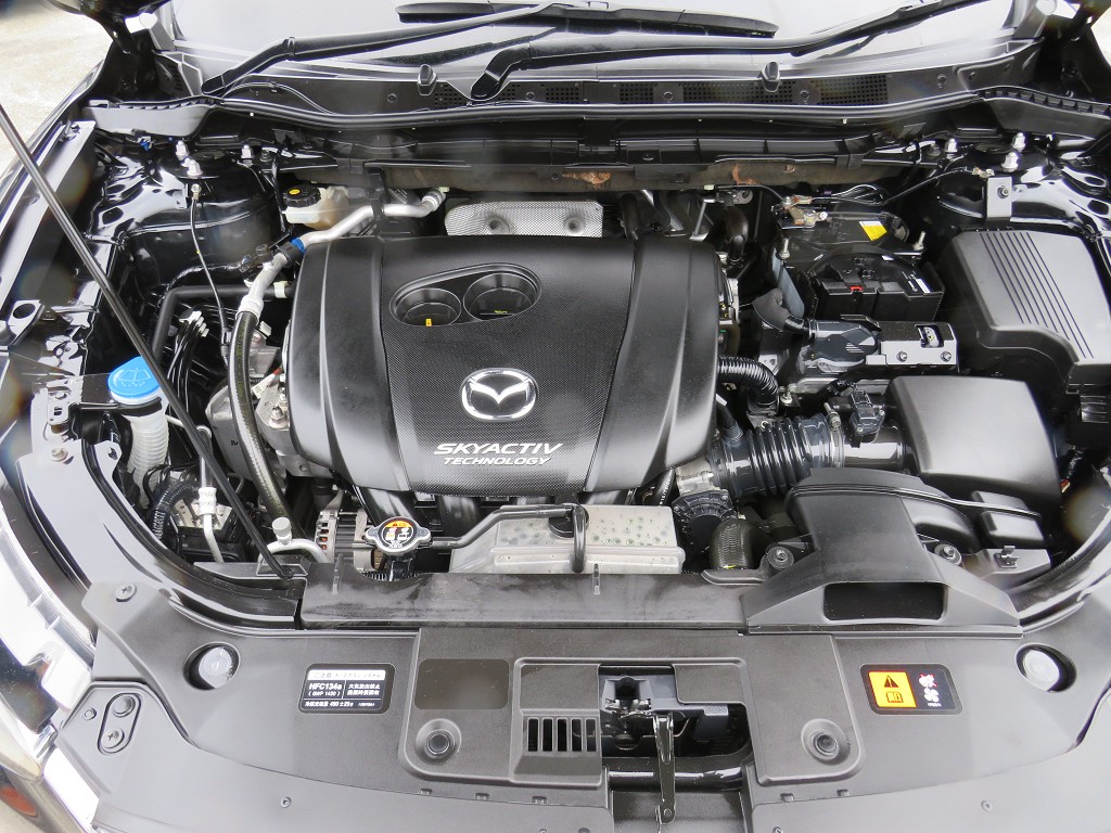 S8068521.jpg
