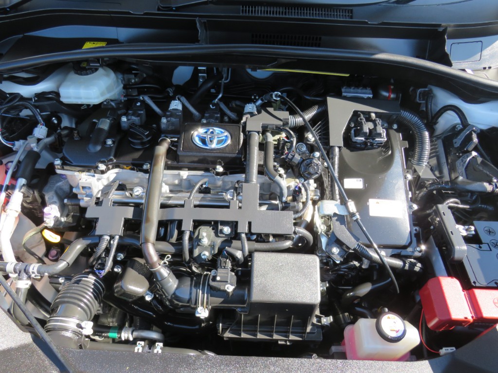 S8069721.jpg