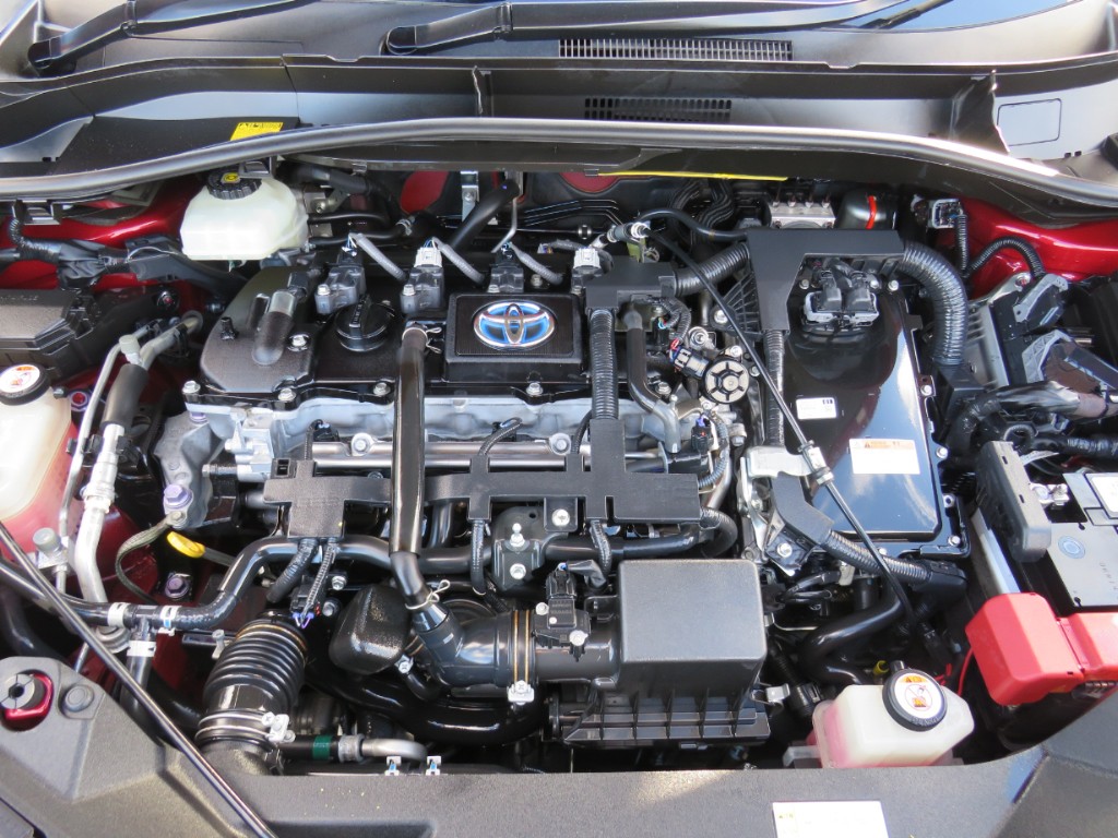 S8069821.jpg