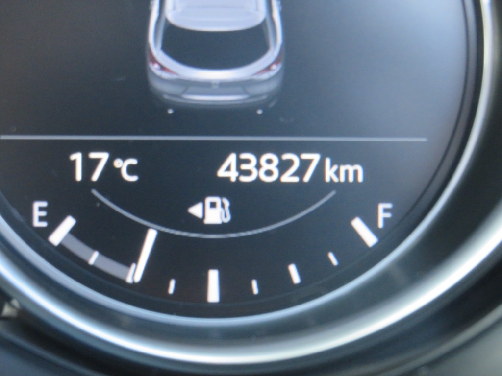 S8070218.jpg