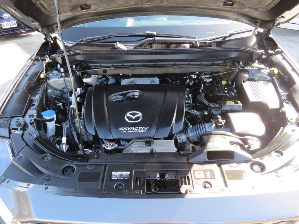 S8070220.jpg