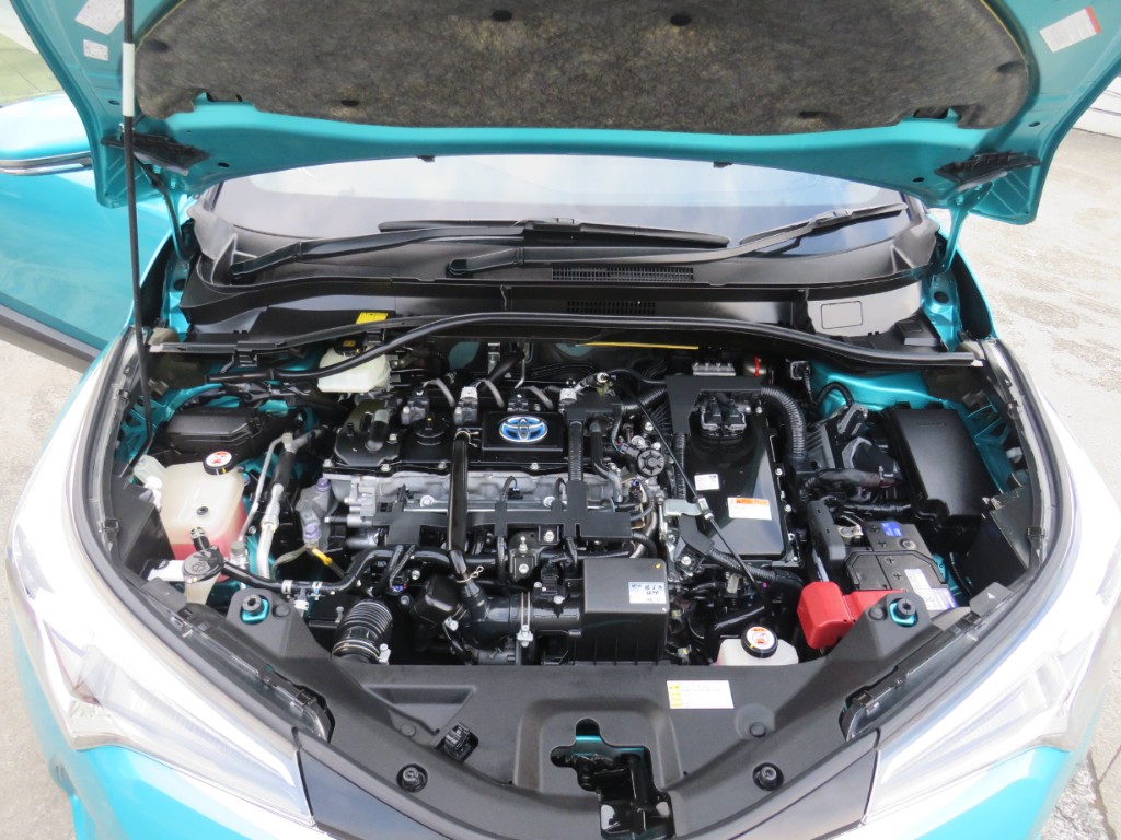 S8074520.jpg
